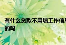 有什么贷款不用填工作信息的吗 有什么贷款不用填工作信息的吗