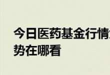 今日医药基金行情大盘走势 基金大盘实时走势在哪看