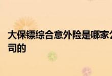 大保镖综合意外险是哪家公司的 全民大保镖意外险是哪家公司的
