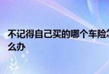 不记得自己买的哪个车险怎么办 不知道自己买了什么车险怎么办