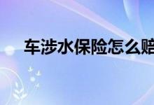 车涉水保险怎么赔 车涉水保险怎么赔偿