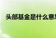 头部基金是什么意思 头部基金是什么意思