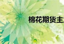棉花期货主力合约触及涨停