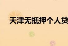 天津无抵押个人贷款（天津无抵押贷款）
