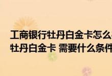 工商银行牡丹白金卡怎么办 请问 办理中国工商银行信用卡 牡丹白金卡 需要什么条件