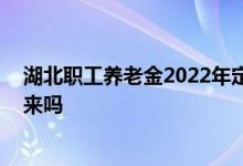 湖北职工养老金2022年定额会调整多少 养老金调整方案出来吗 