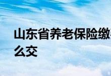 山东省养老保险缴费标准是多少 养老保险怎么交 