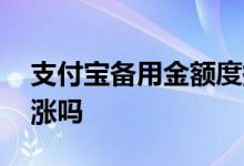 支付宝备用金额度提升 支付宝备用金额度会涨吗