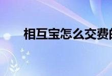 相互宝怎么交费的 相互宝要交费用吗