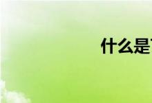什么是T+1与T+0