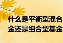 什么是平衡型混合基金 指数基金是平衡型基金还是组合型基金