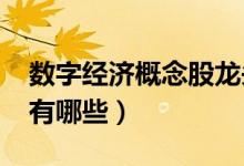 数字经济概念股龙头2020（数字经济概念股有哪些）