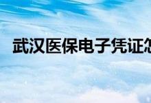 武汉医保电子凭证怎么无法使用 如何处理 