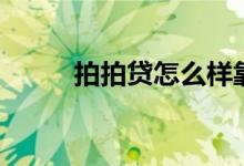 拍拍贷怎么样靠谱吗（拍拍贷款）