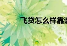 飞贷怎么样靠谱吗（飞贷怎么样）