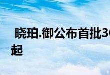 晓珀.御公布首批30伙价单 定价2,434.7万元起 