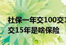 社保一年交100交15年,最后得多少 一年100交15年是啥保险