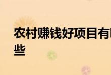 农村赚钱好项目有哪些 农村赚钱好项目有哪些