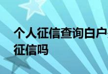 个人征信查询白户是什么 网上可以打白户的征信吗