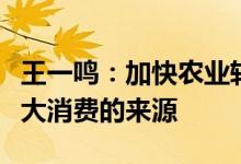 王一鸣：加快农业转移人口的市民化是稳定扩大消费的来源