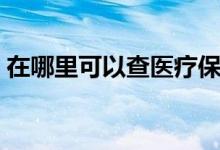 在哪里可以查医疗保险缴费记录 怎么查不出 