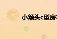 小额头c型房车（小额度贷款）