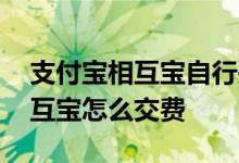 支付宝相互宝自行关闭还退钱吗 支付宝的相互宝怎么交费