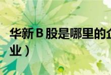 华新Ｂ股是哪里的企业（华新Ｂ股属于什么行业）