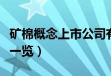 矿棉概念上市公司有哪些（矿棉上市公司股票一览）