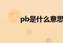 pb是什么意思（pb有什么作用）