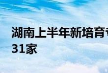湖南上半年新培育专精特新“小巨人”企业731家