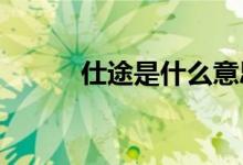 仕途是什么意思 *ST是什么意思
