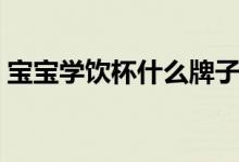 宝宝学饮杯什么牌子好（学饮杯什么时候用）