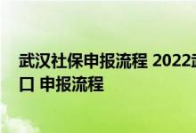 武汉社保申报流程 2022武汉职工医保缴费工资网上申报入口 申报流程 