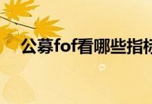 公募fof看哪些指标 公募FOF基金怎么买