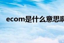 ecom是什么意思啊（ECOM是什么意思）