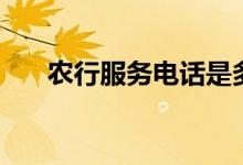 农行服务电话是多少（农行服务电话）