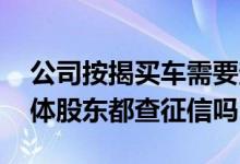 公司按揭买车需要查股东征信吗 企业贷款全体股东都查征信吗