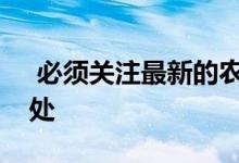  必须关注最新的农村户籍政策及其带来的好处 