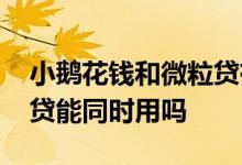 小鹅花钱和微粒贷有关联吗 小鹅花钱和微粒贷能同时用吗