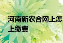 河南新农合网上怎么缴费 河南新农合怎么网上缴费