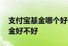 支付宝基金哪个好一点 怎么看支付宝里的基金好不好