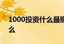 1000投资什么最赚钱最有前景 1000投资什么