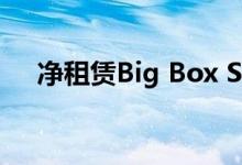  净租赁Big Box Sector在第四季度走软 