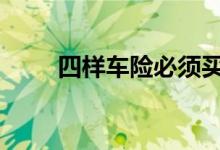四样车险必须买 车险一般买哪四样