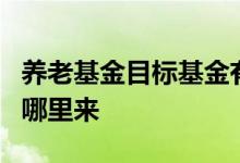 养老基金目标基金有哪5个 养老目标基金钱从哪里来