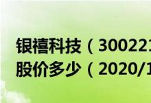 银禧科技（300221）今日股价银禧科技今天股价多少（2020/11/24）