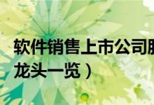 软件销售上市公司股票有哪些（相关软件销售龙头一览）