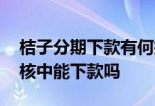 桔子分期下款有何技巧 桔子分期金融机构审核中能下款吗