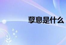 孽息是什么 孽息是什么意思